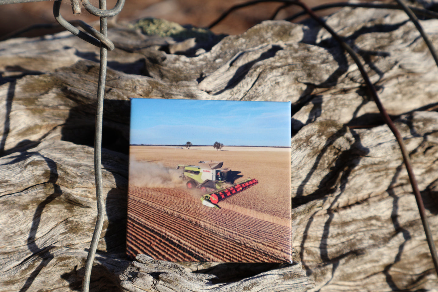 1 x Custom Photo Magnet