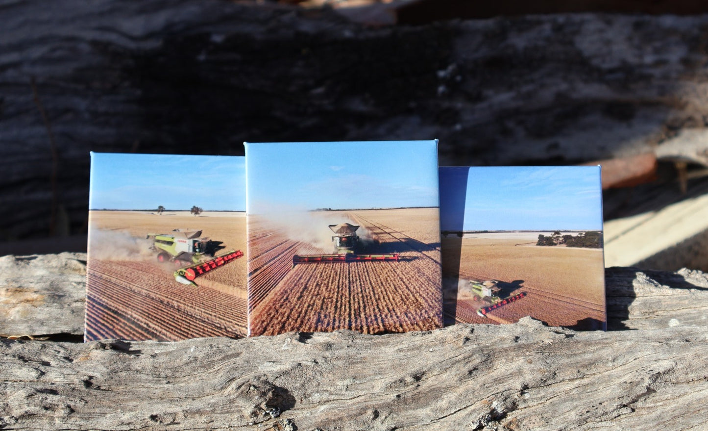 3 x Custom Photo Magnets