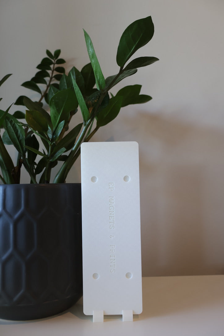 Magnets Display Frame 1x3