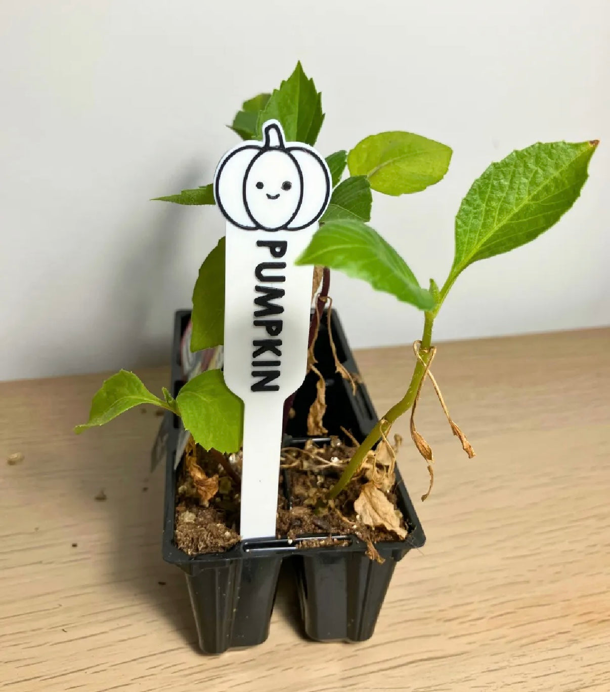 Veggie Garden Label Set